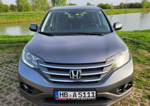 Honda CR-V cena 59909 przebieg: 168000, rok produkcji 2013 z Sieradz małe 529